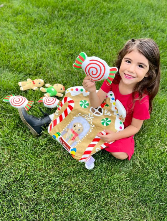 Gingerbread House Plushies Pillow