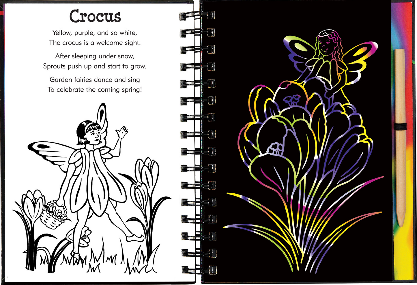 Garden Fairies Scratch and Sketch