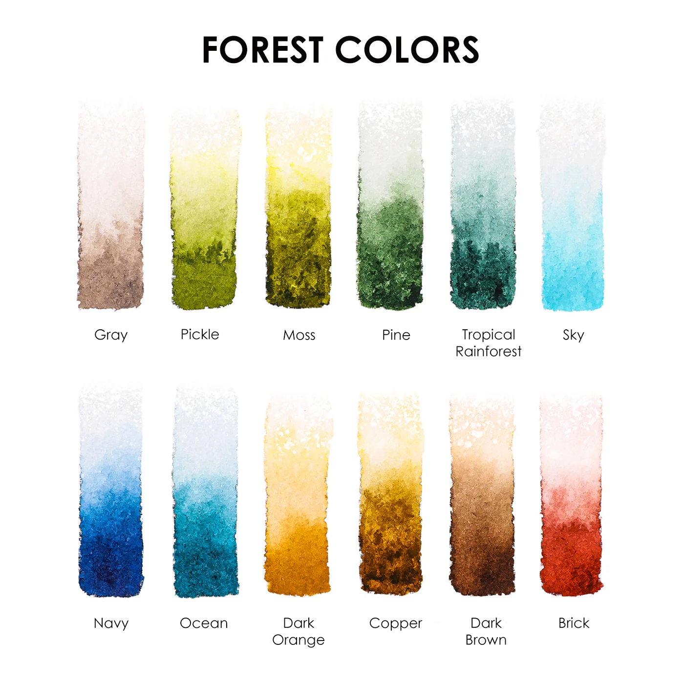 Forest-Themed Watercolor Coloring Club Box