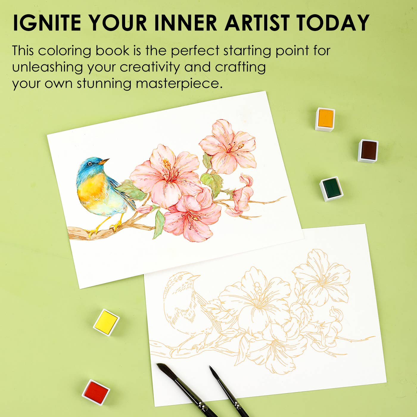 Floral-Themed Watercolor Coloring Book