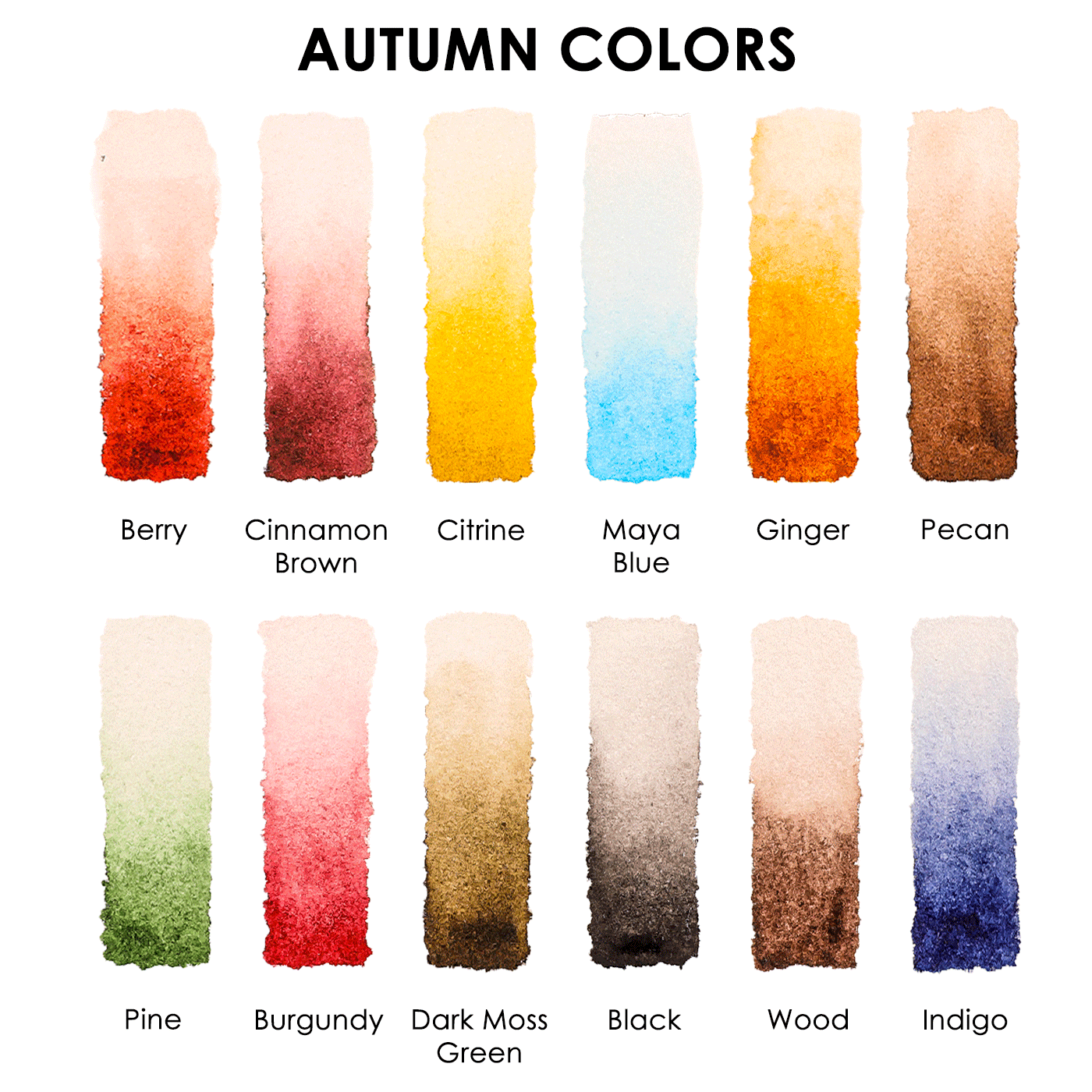 Autumn-Themed Watercolor Coloring Club Box