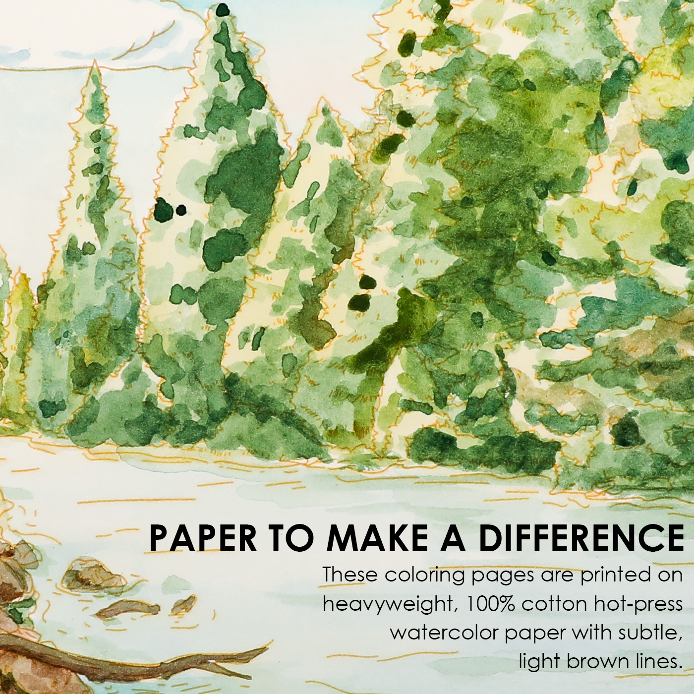Forest-Themed Watercolor Coloring Club Box