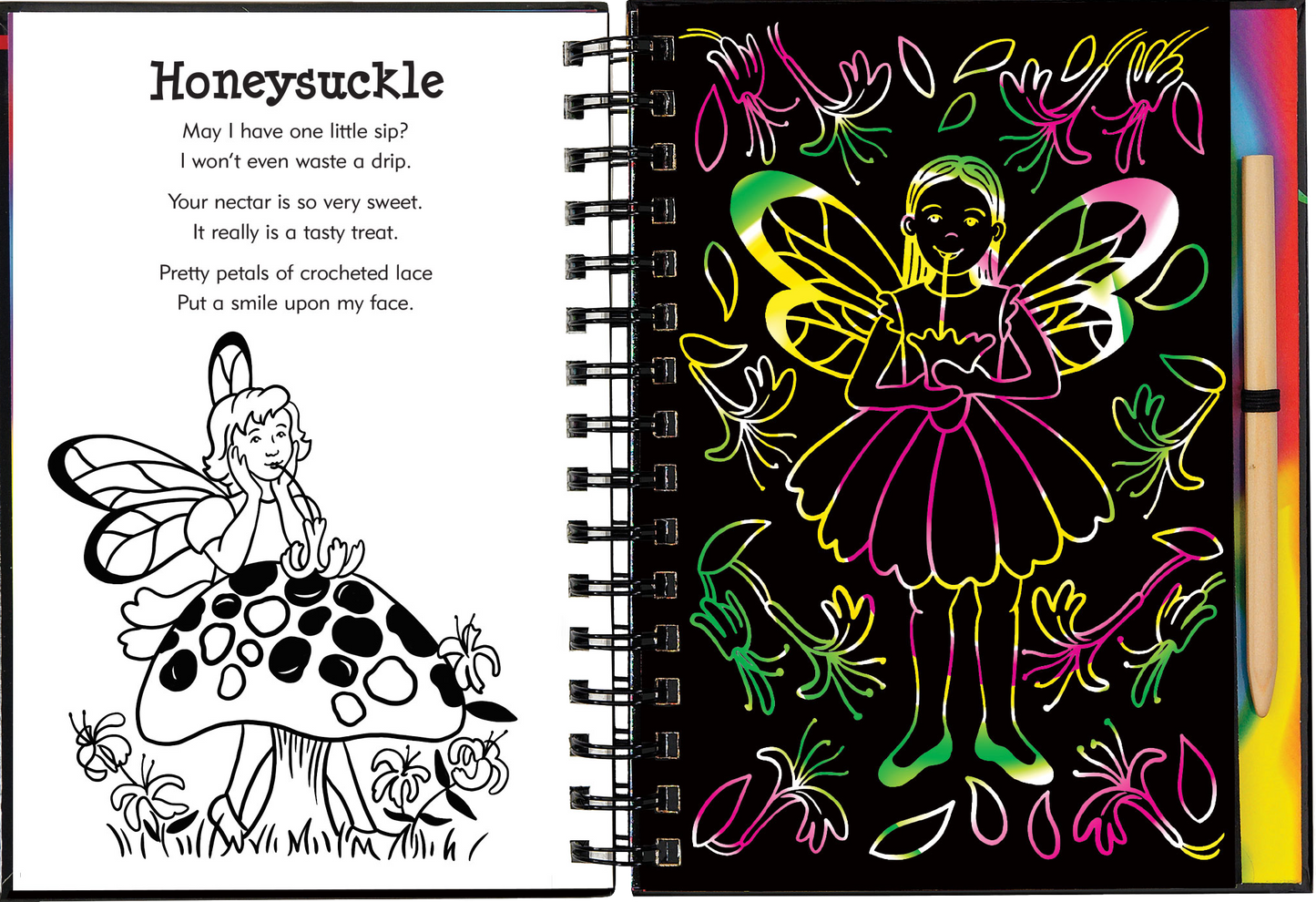 Garden Fairies Scratch and Sketch