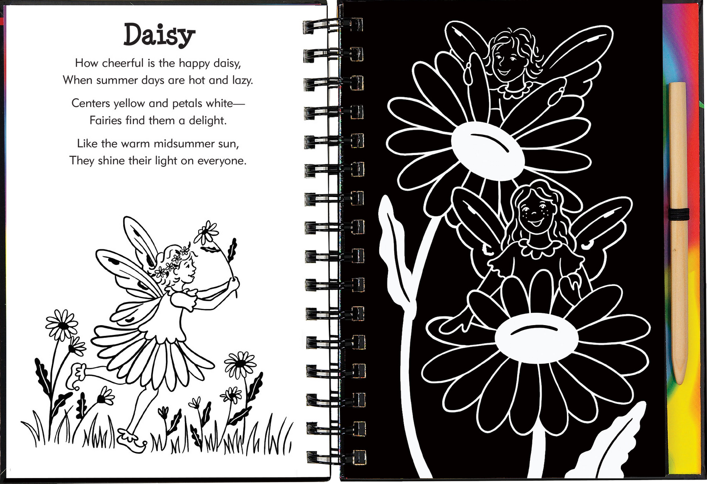 Garden Fairies Scratch and Sketch