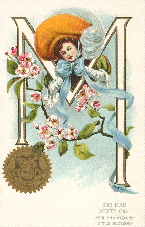 Michigan State Girl - Postcard