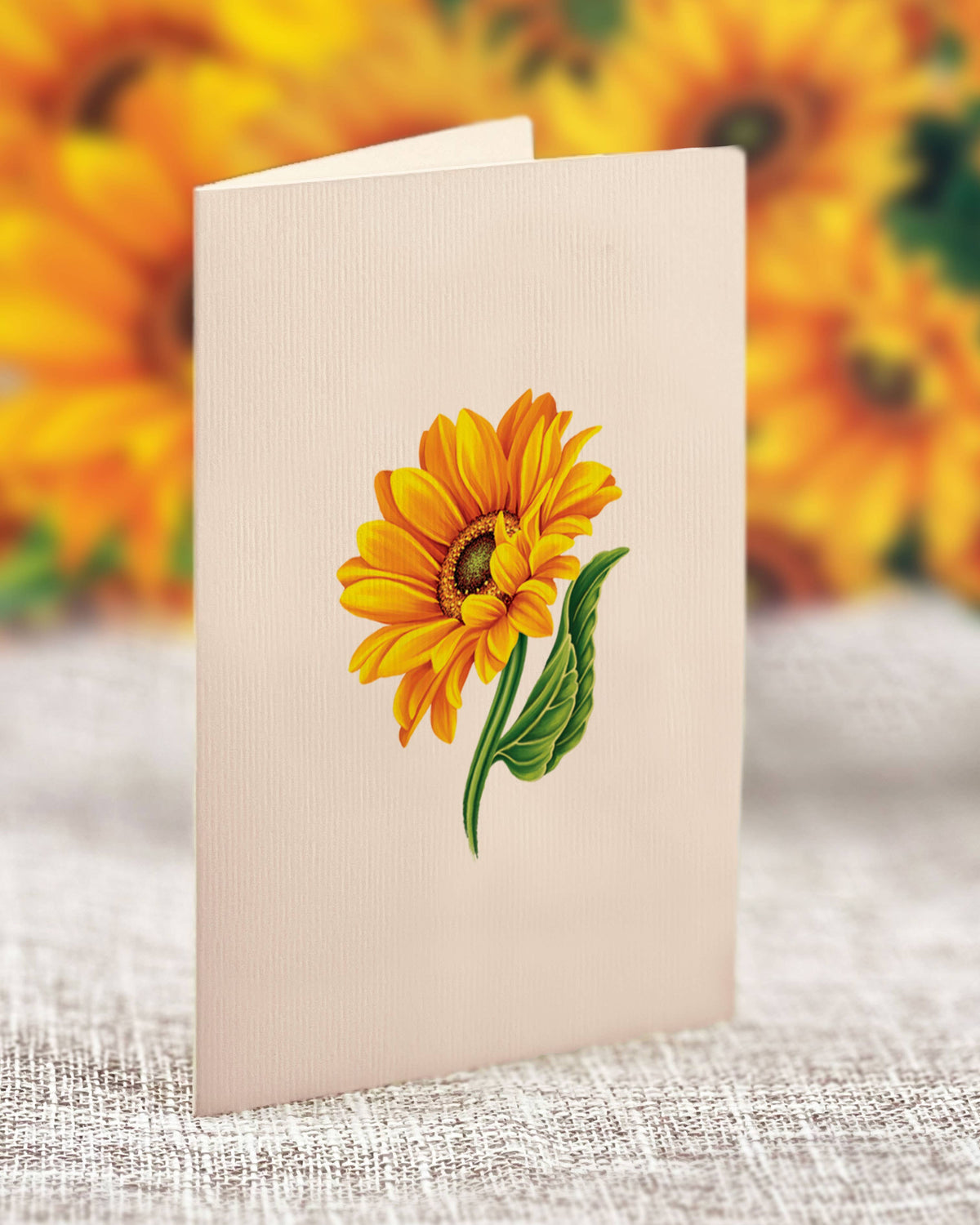 Mini Sunflowers