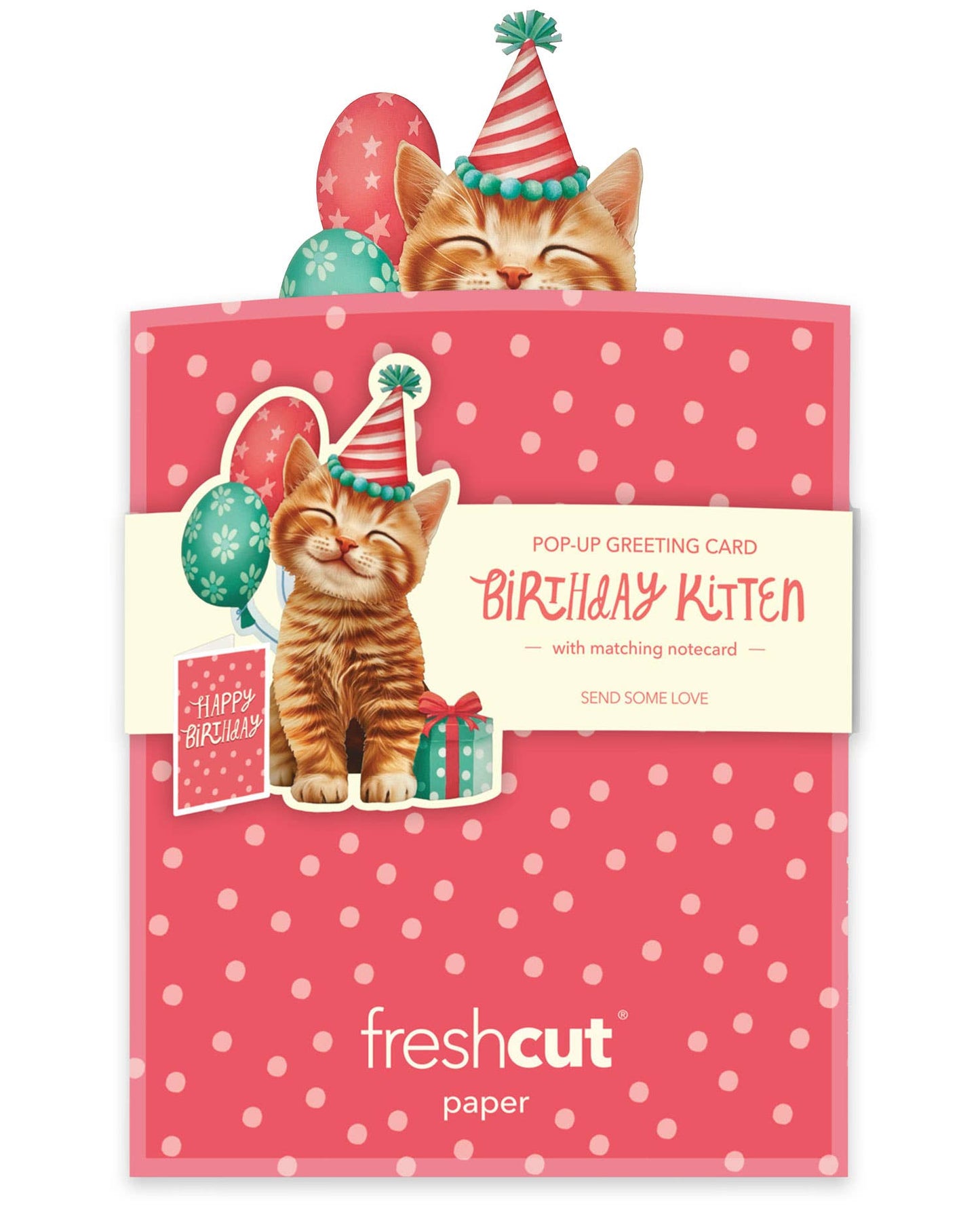 Mini Birthday Kitten