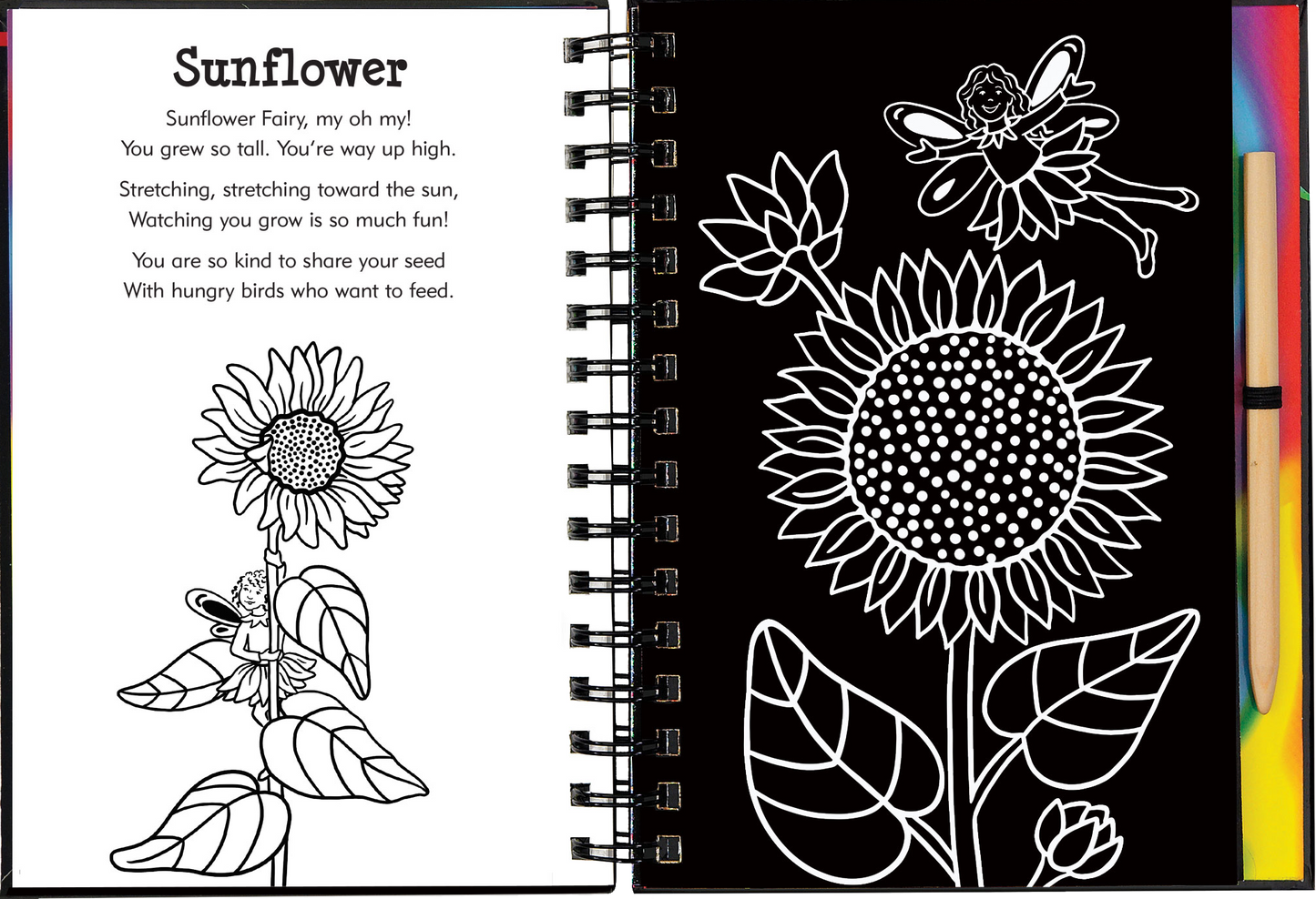 Garden Fairies Scratch and Sketch