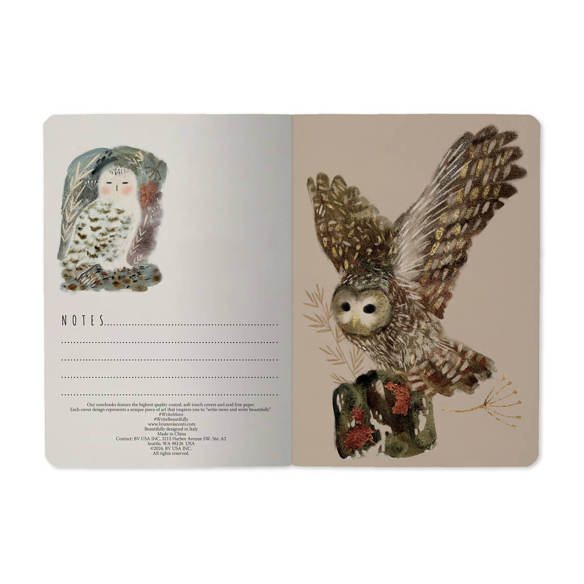 Small Notebook Owls