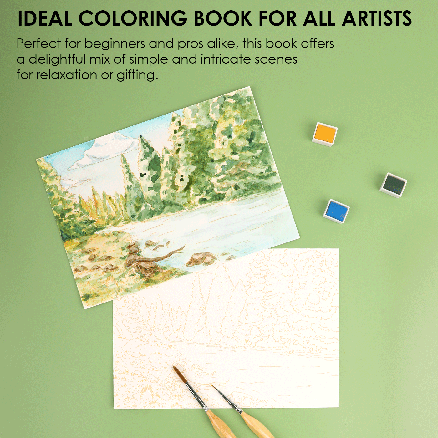 Forest-Themed Watercolor Coloring Book