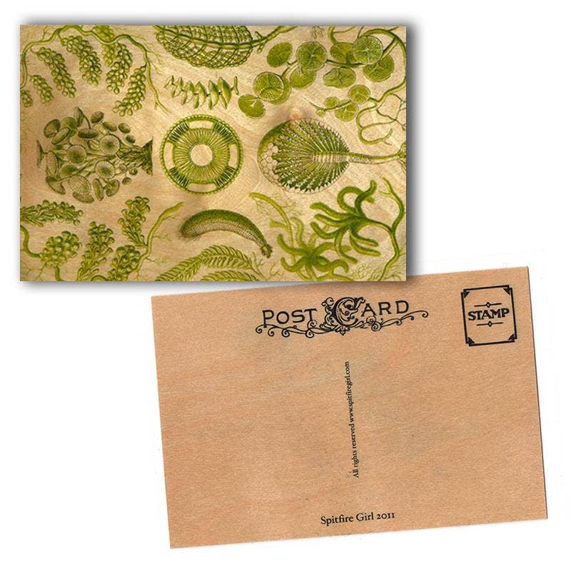 Green Sea Wood Postcard