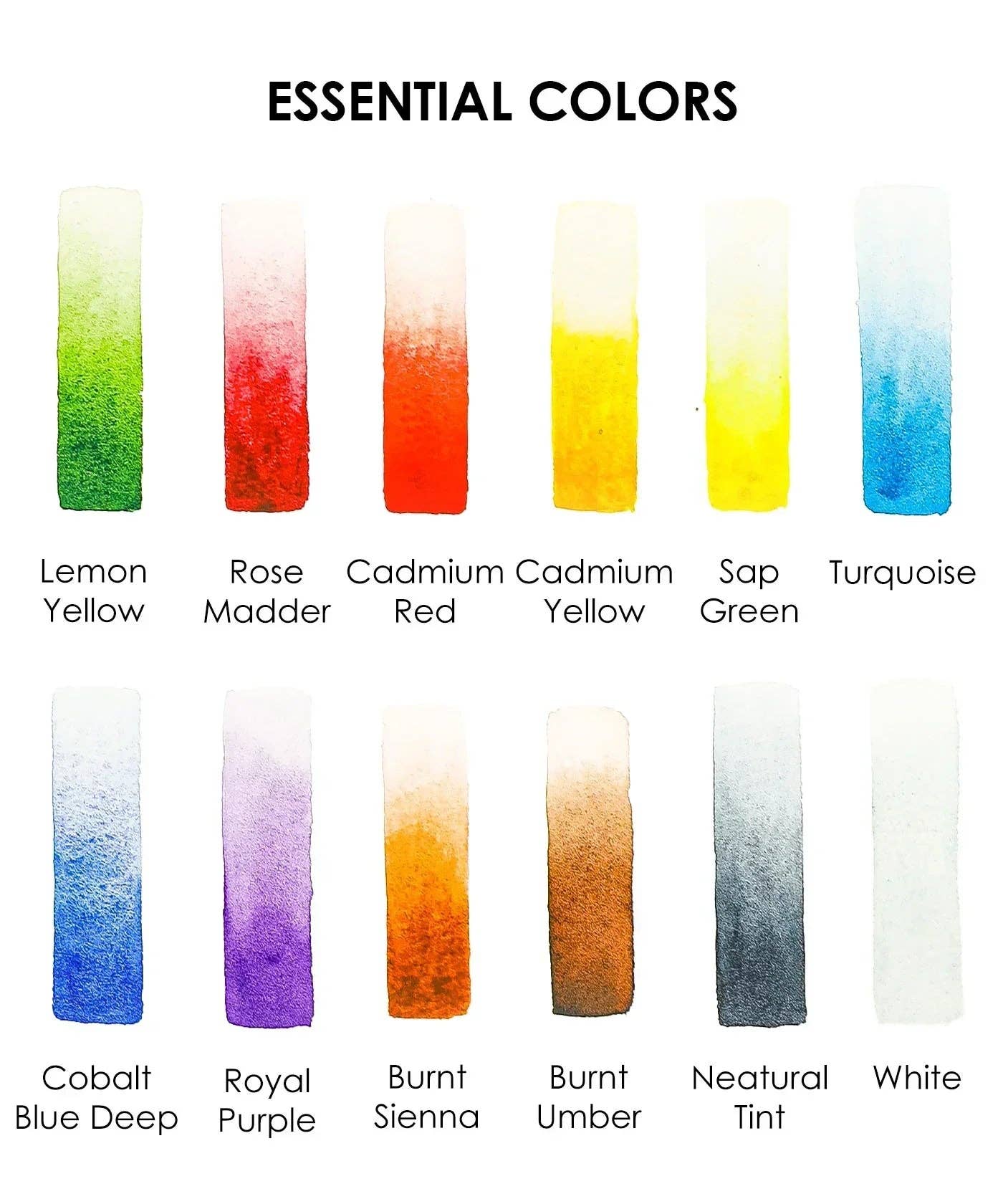 Grabie - Essential-Themed  Watercolor Coloring Club Box