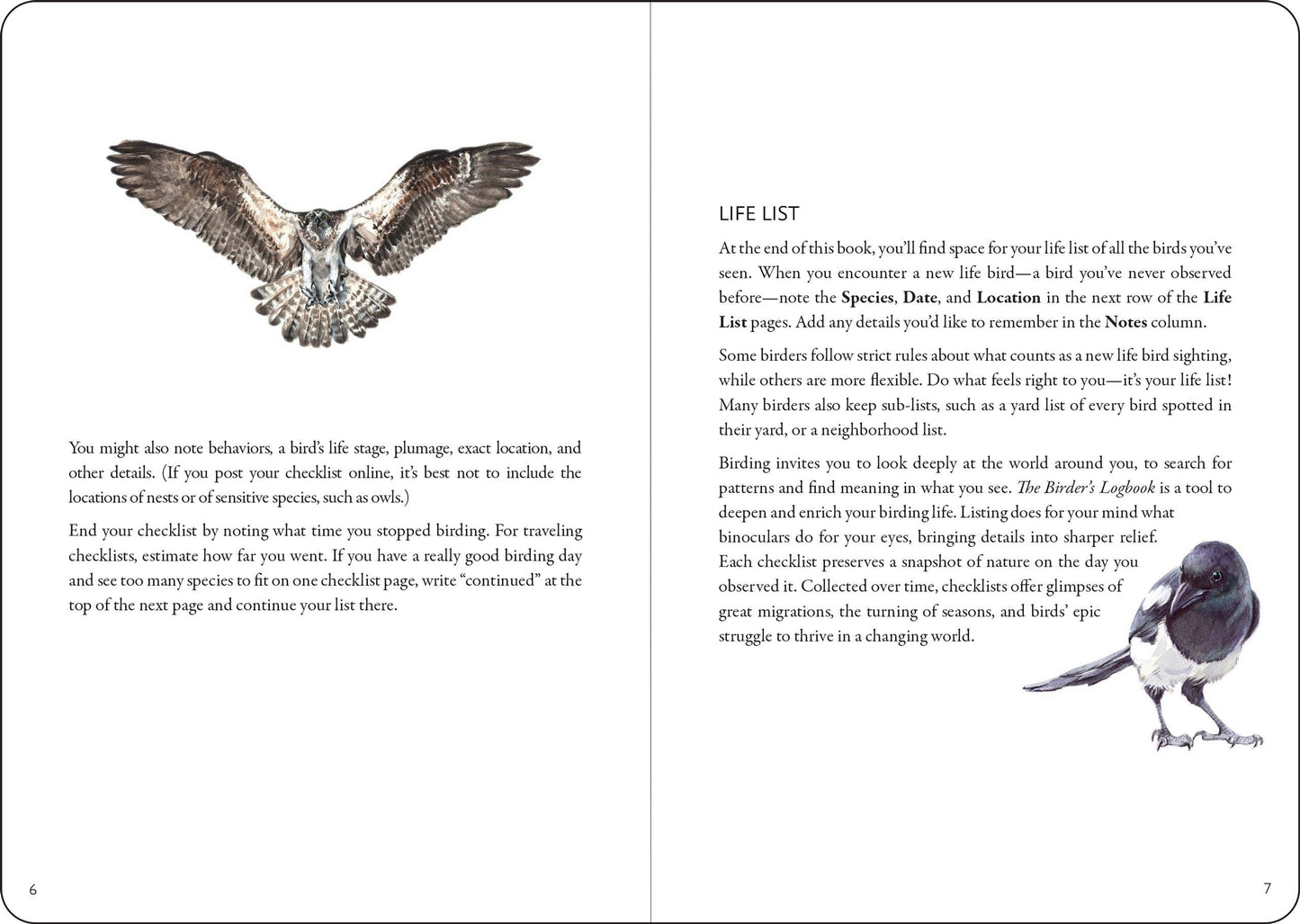 The Birder's Logbook