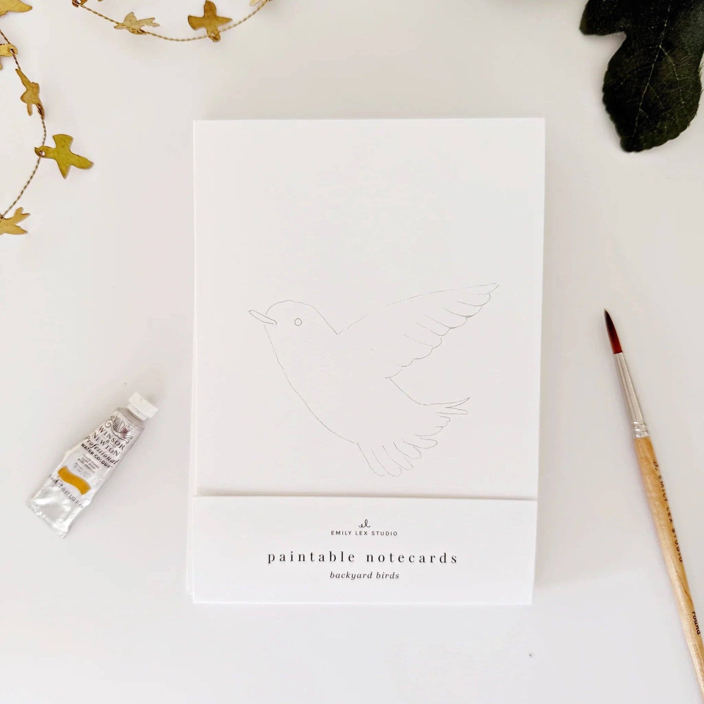 emily lex studio - Birds paintable watercolor notecard set