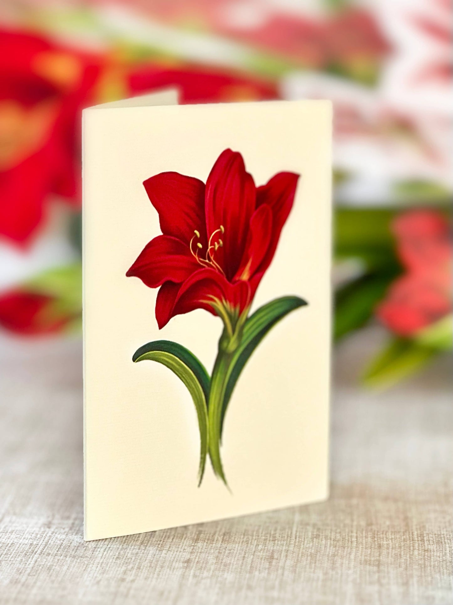 Scarlet Amaryllis Pop-up Greeting Card