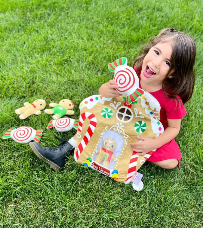 Gingerbread House Plushies Pillow