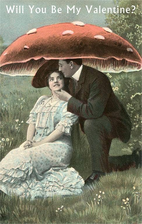 Couple under Poison Mushroom