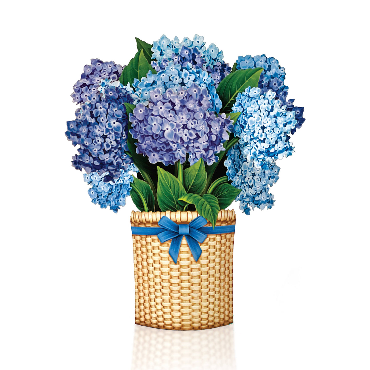 Mini Nantucket Hydrangeas