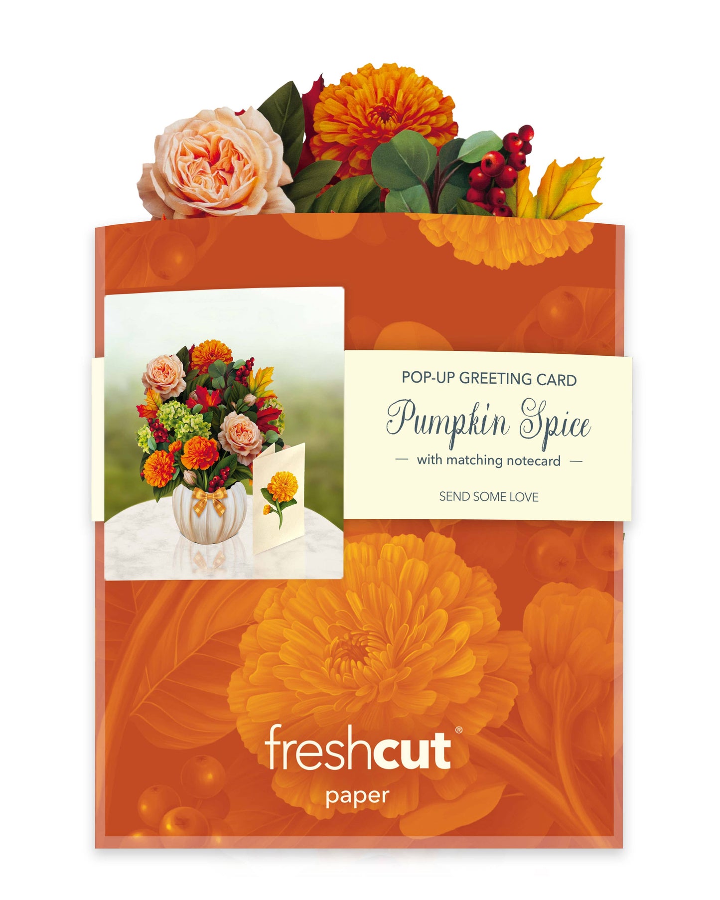 FreshCut Paper LLC - Mini Pumpkin Spice (10 Pop-up Greeting Cards)