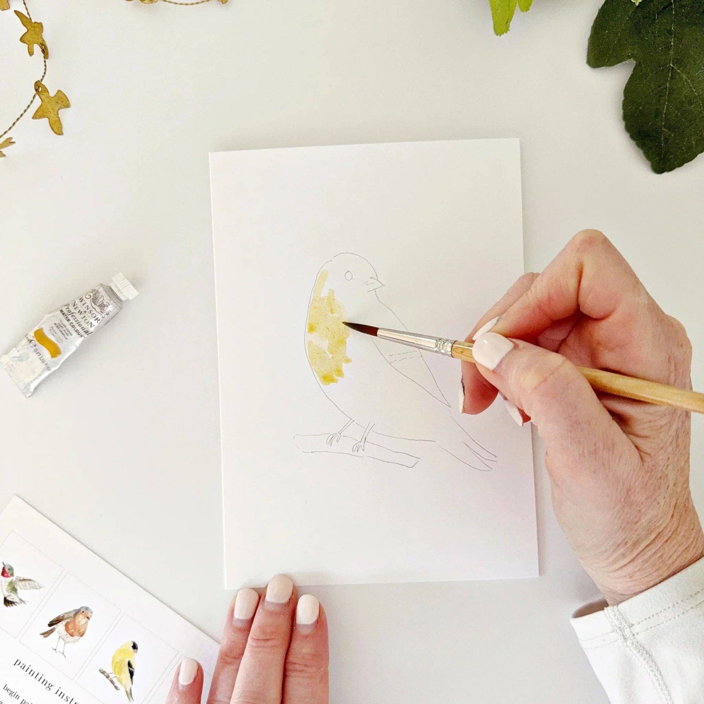 emily lex studio - Birds paintable watercolor notecard set