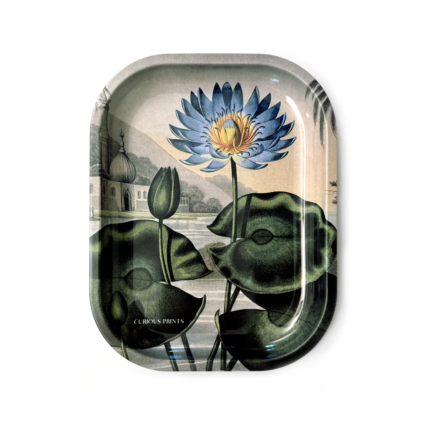 Blue Lotus Water Lily Trinket/Rolling Tray