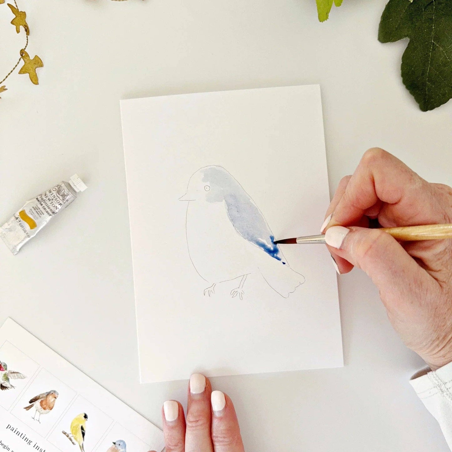 emily lex studio - Birds paintable watercolor notecard set