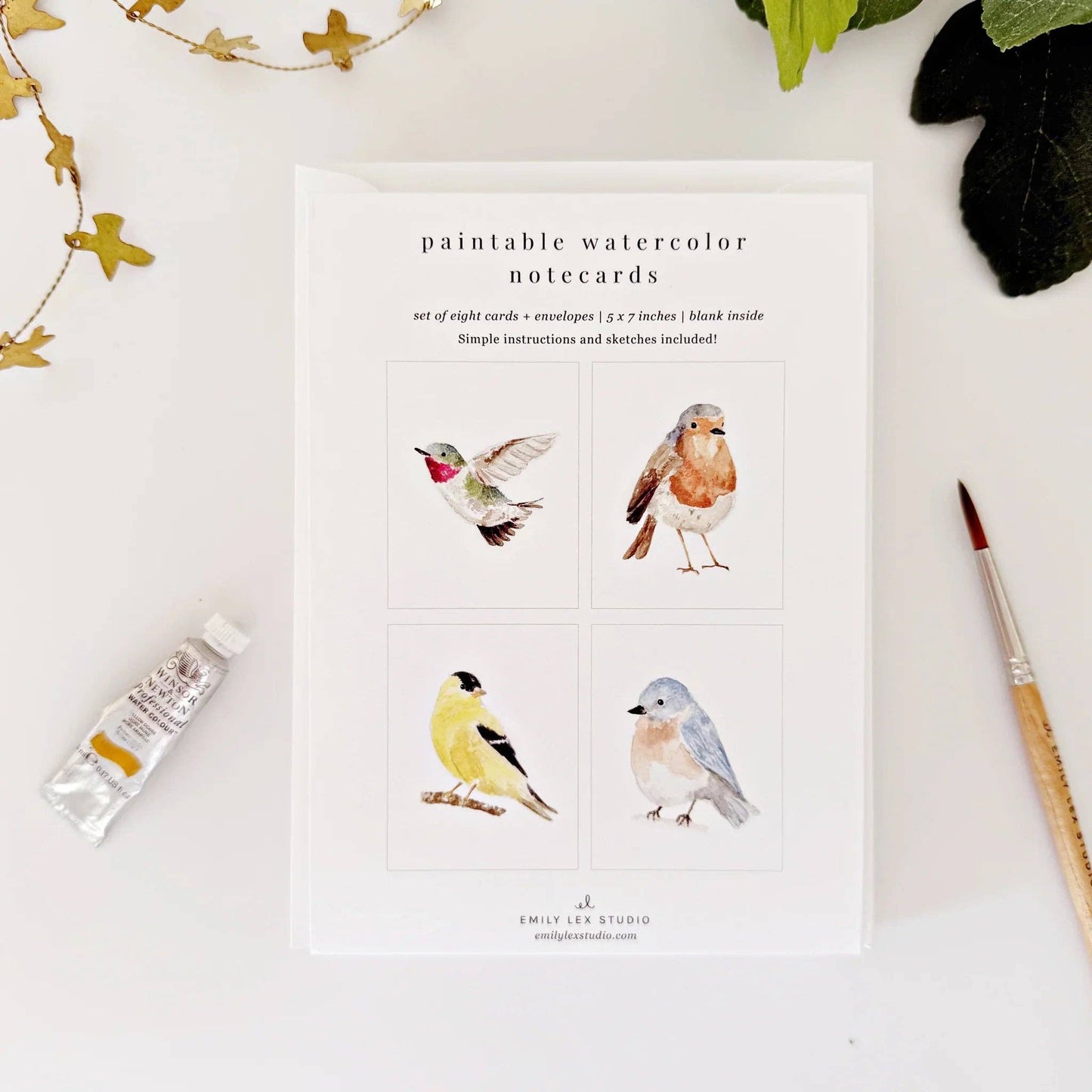 emily lex studio - Birds paintable watercolor notecard set