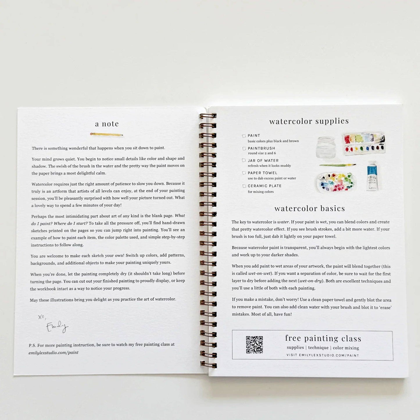 emily lex studio - Fruit watercolor workbook