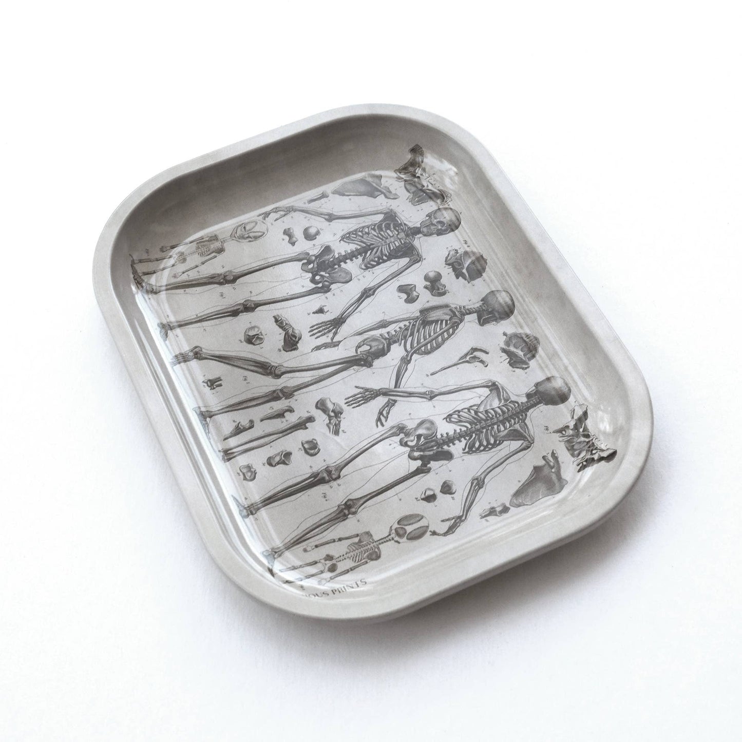 Vintage Anatomy Skeleton Diagram Trinket/Rolling Tray