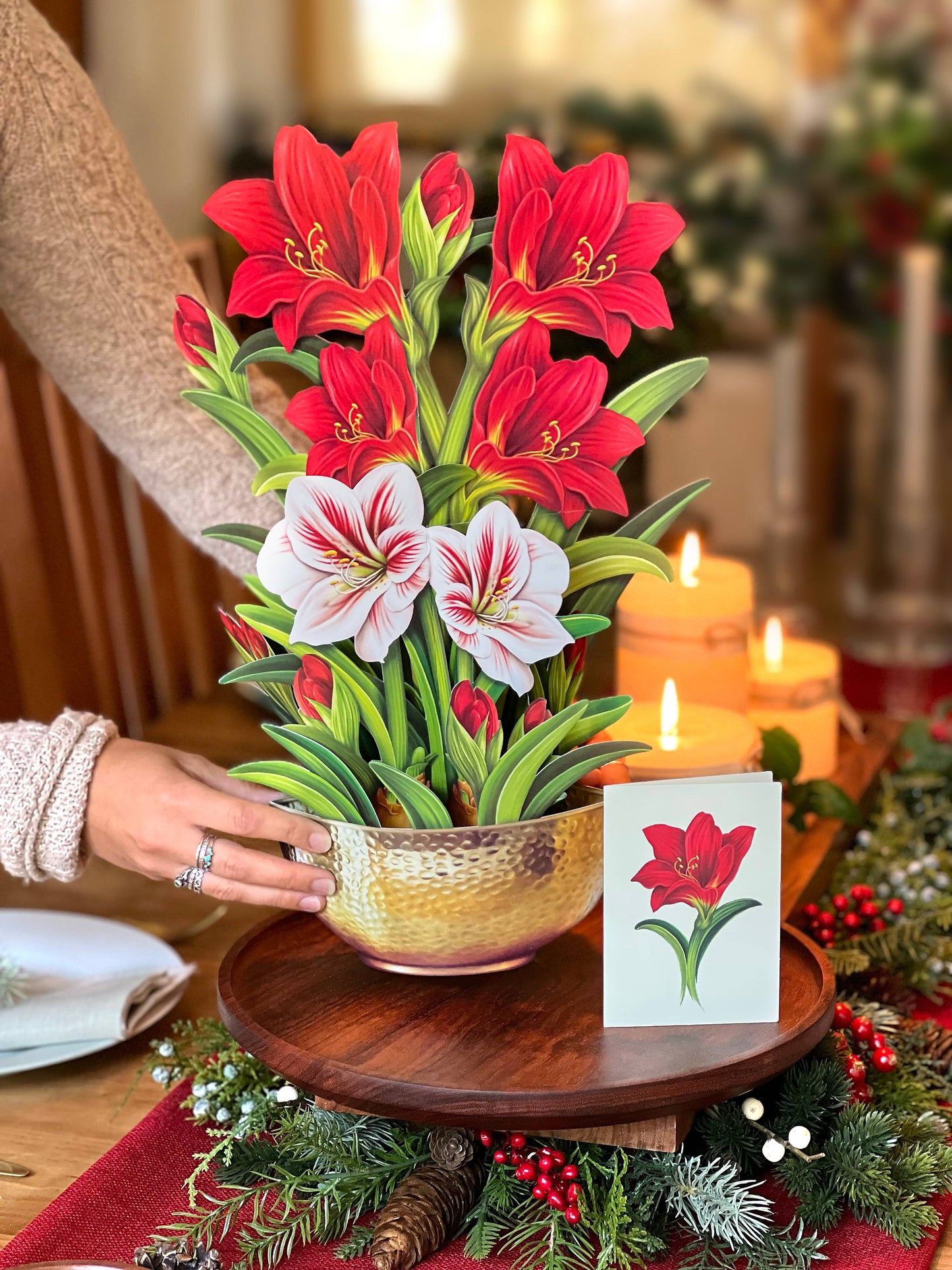 Scarlet Amaryllis Pop-up Greeting Card