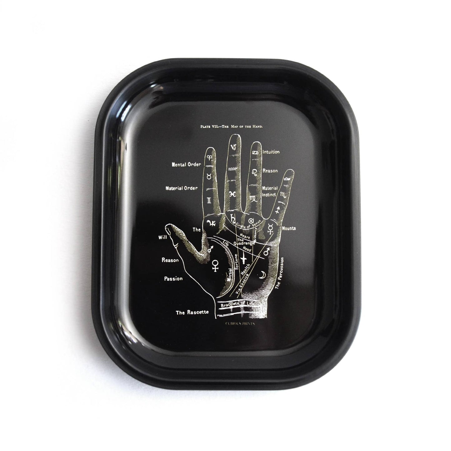 Palm Reader Palmistry Pint Trinket/Rolling Tray