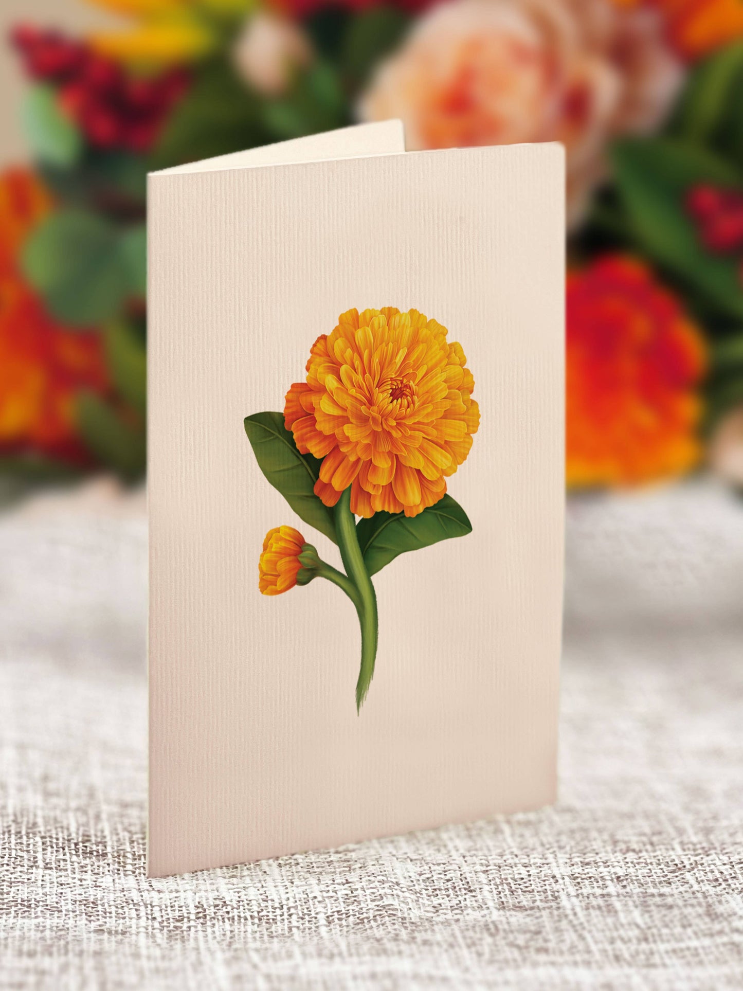 FreshCut Paper LLC - Mini Pumpkin Spice (10 Pop-up Greeting Cards)