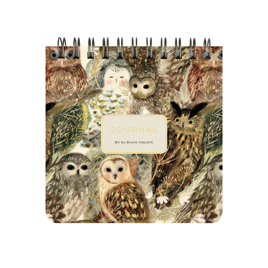 BV by Bruno Visconti - Pocket Art Journal  - Owls