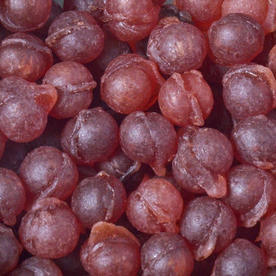 French Hard Candies - Le Volcanic Pine-Eucalyptus Candies - 50g candies