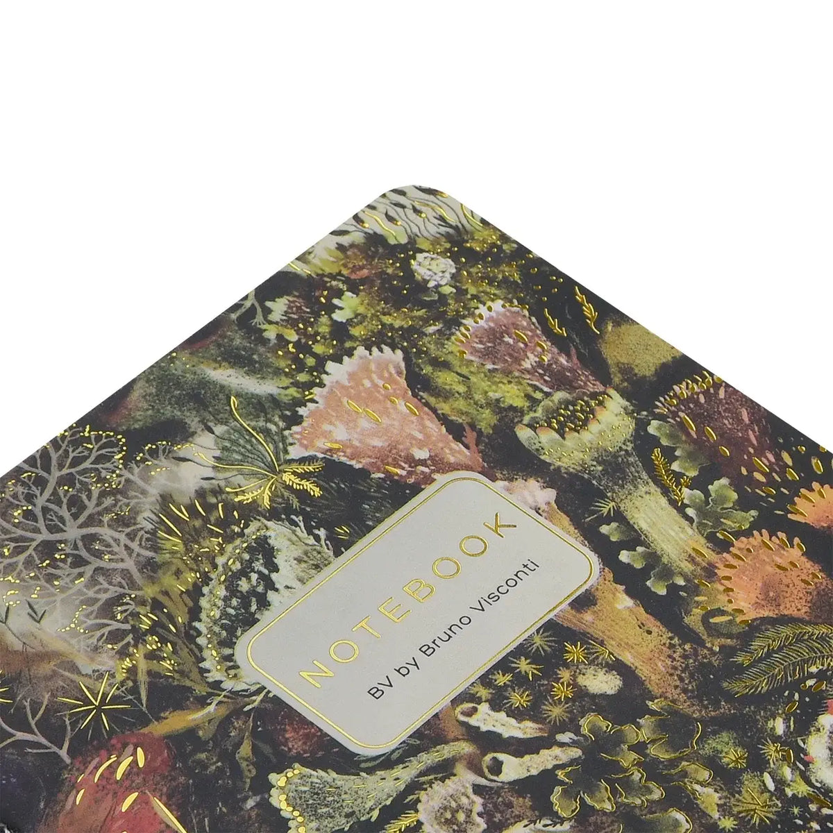 Small Notebook - Forest Floor