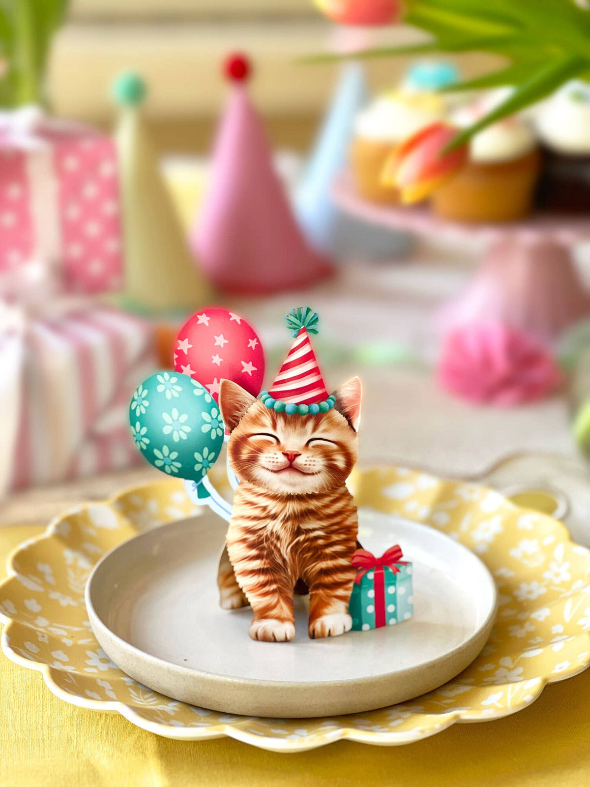 Mini Birthday Kitten