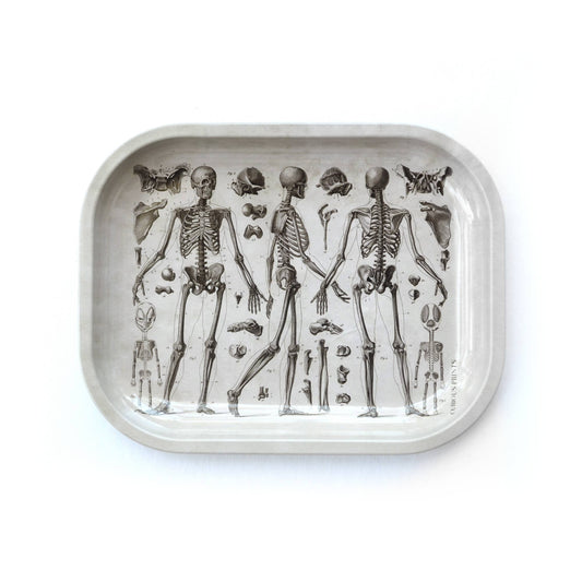 Vintage Anatomy Skeleton Diagram Trinket/Rolling Tray