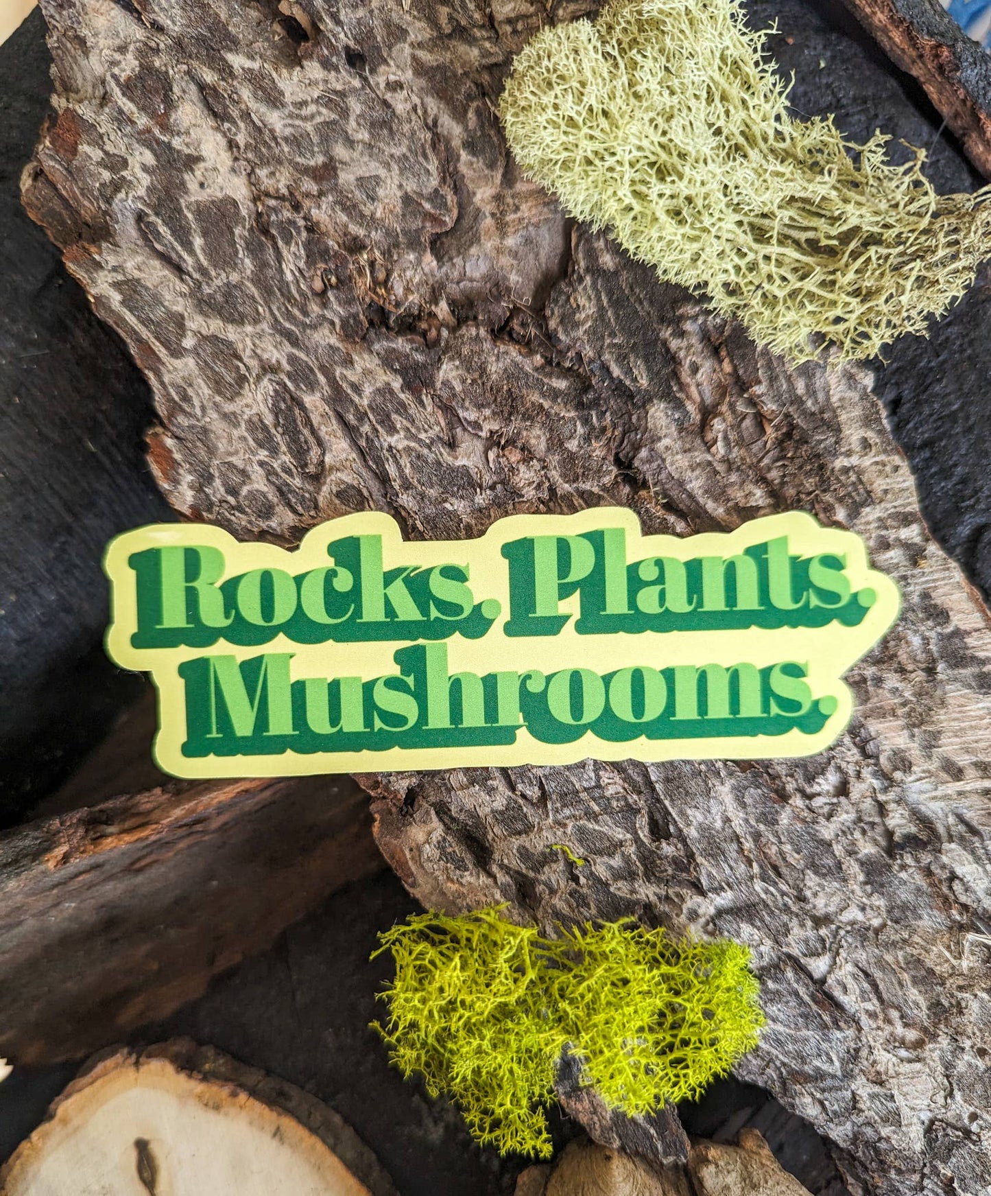 Rocks. Plants. Mushrooms Sticker: Holographic Laminate