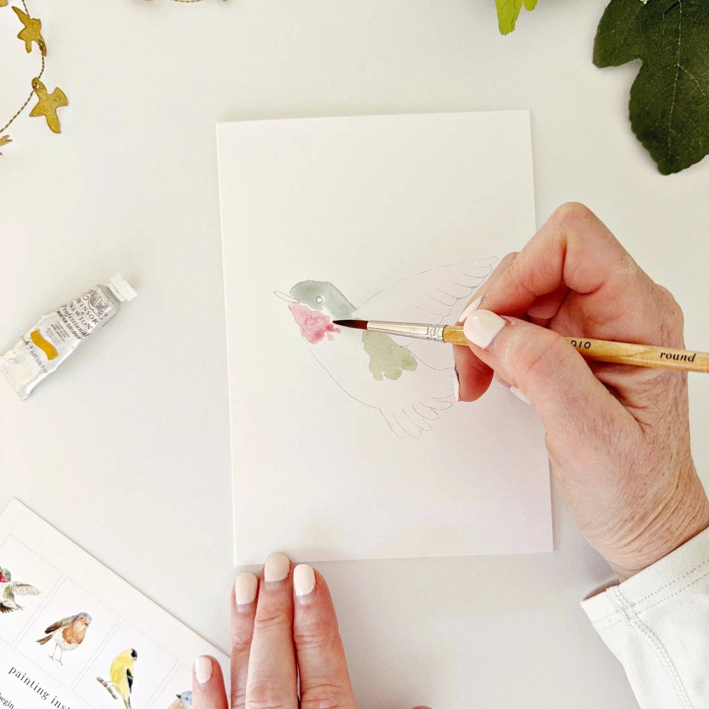 emily lex studio - Birds paintable watercolor notecard set