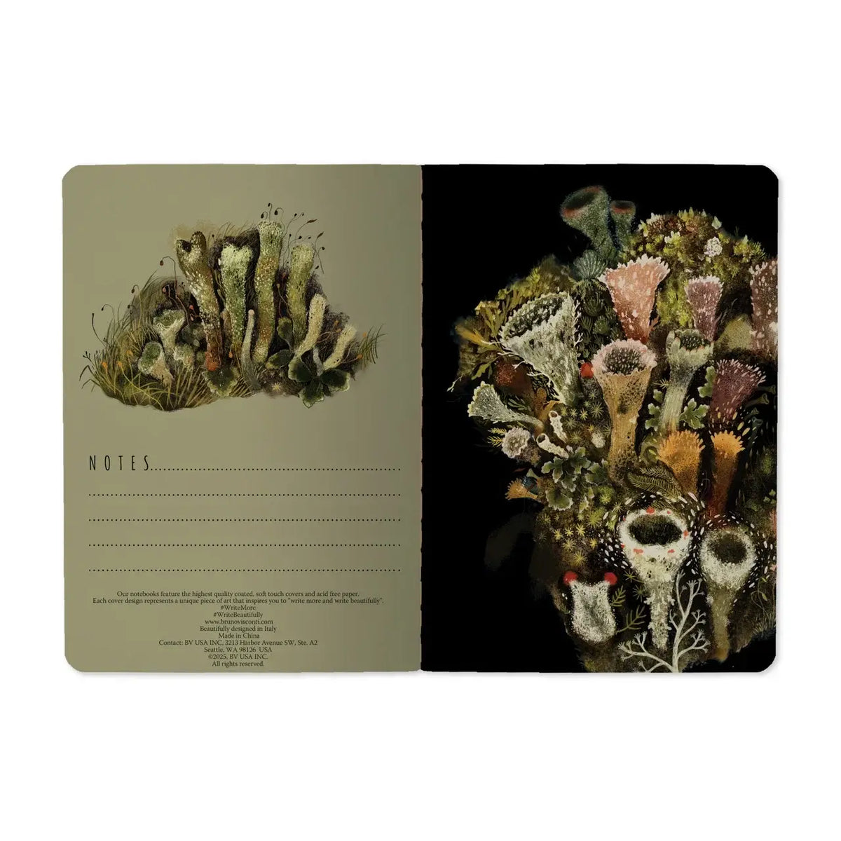 Small Notebook - Forest Floor