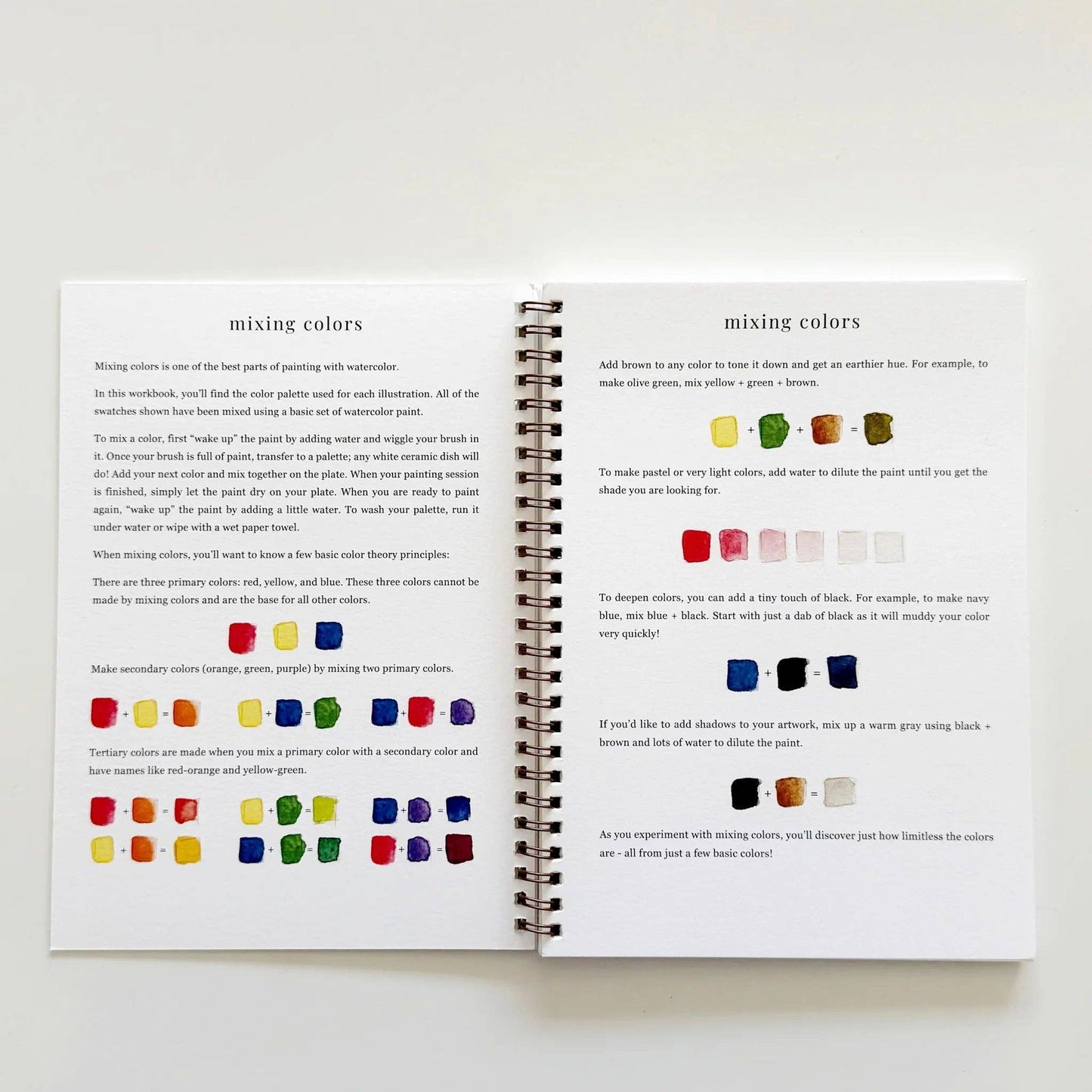 emily lex studio - Fruit watercolor workbook