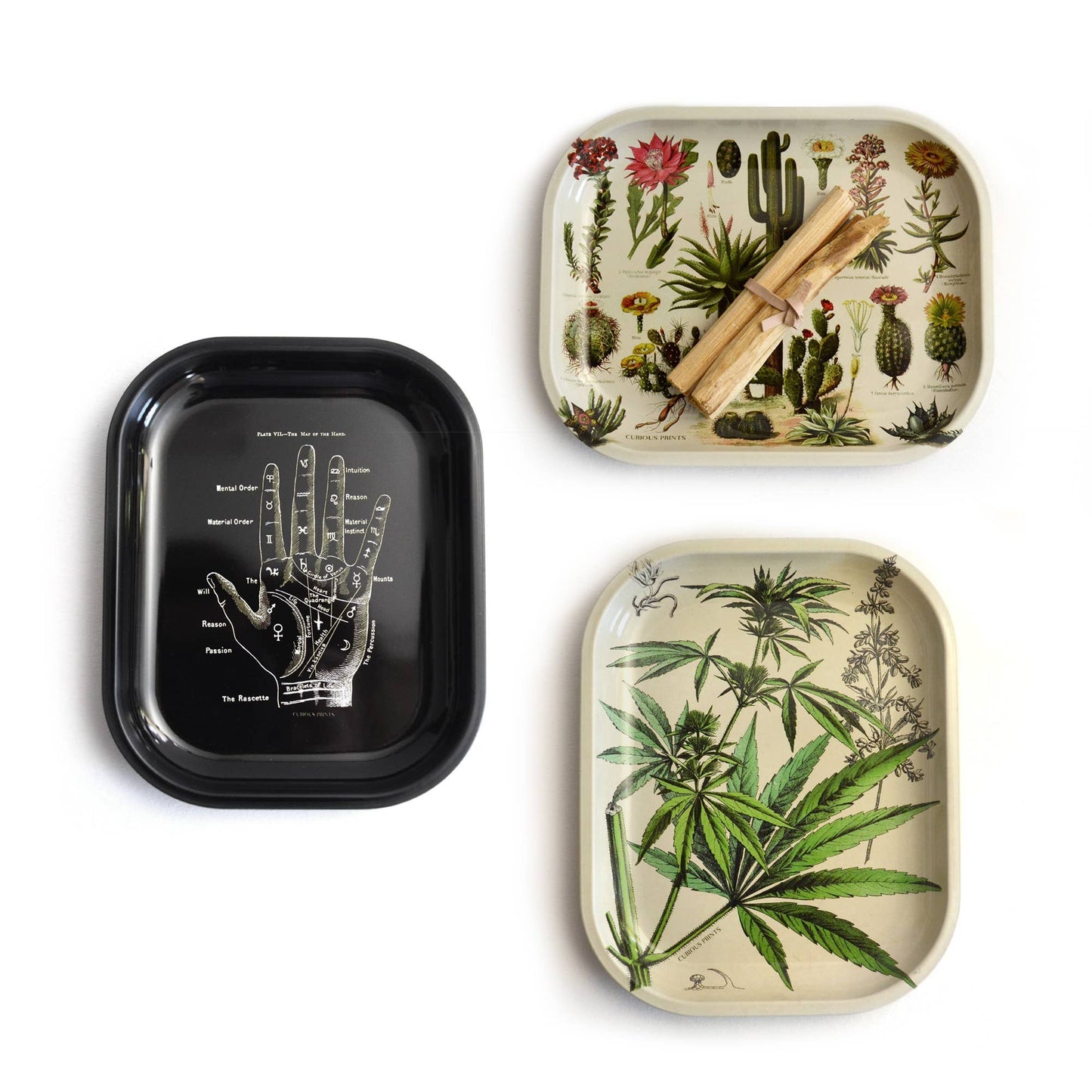 Palm Reader Palmistry Pint Trinket/Rolling Tray