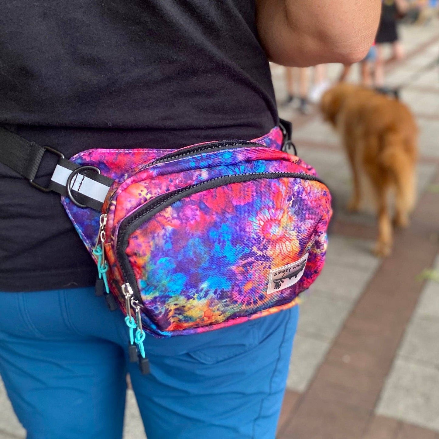 Sipsey Wilder - Solar Tide Rover Hip Pack 2.0