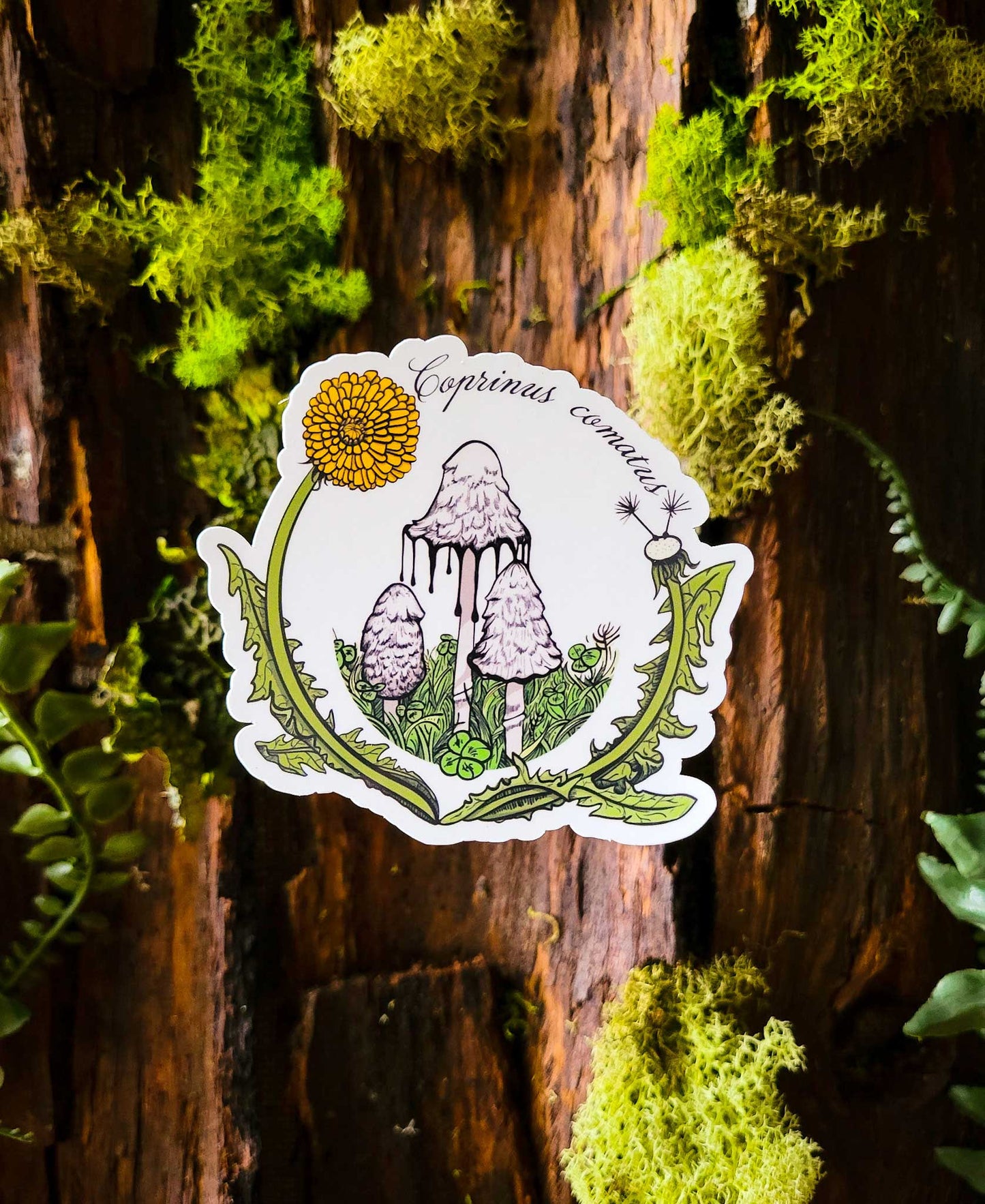 Coprinus comatus | Realistic Shaggy Mane Mushroom Sticker