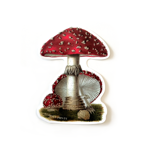 Vintage Magic Mushroom Waterproof Sticker