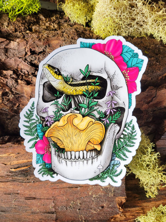 Skull, Snake and Chanterelle Mushroom Sticker